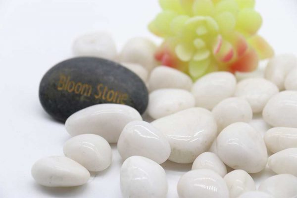 white high polished pebbles