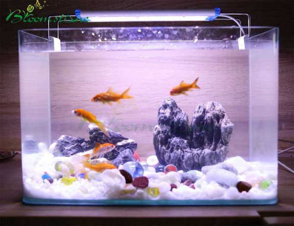 fish-tank-Aquarium-Gravel