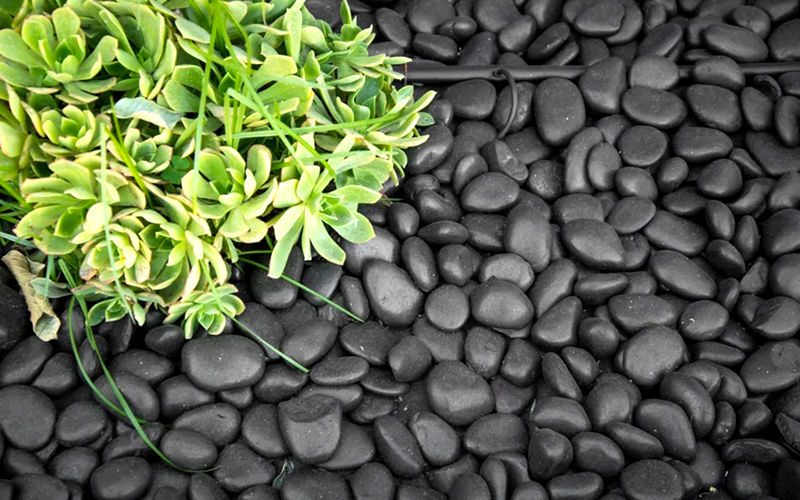 Premium Black Pebble Stones for Landscaping