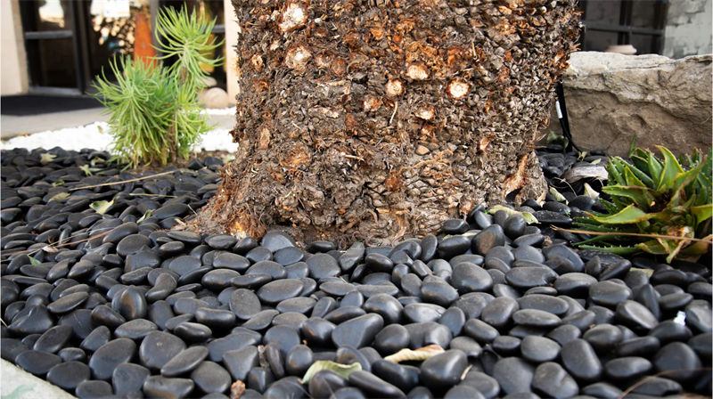 Polished white pebble stones used in a garden pathway