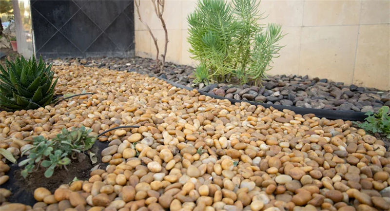 A-Grade Yellow Polished Pebbles – Elegant Stones for Landscaping & Décor